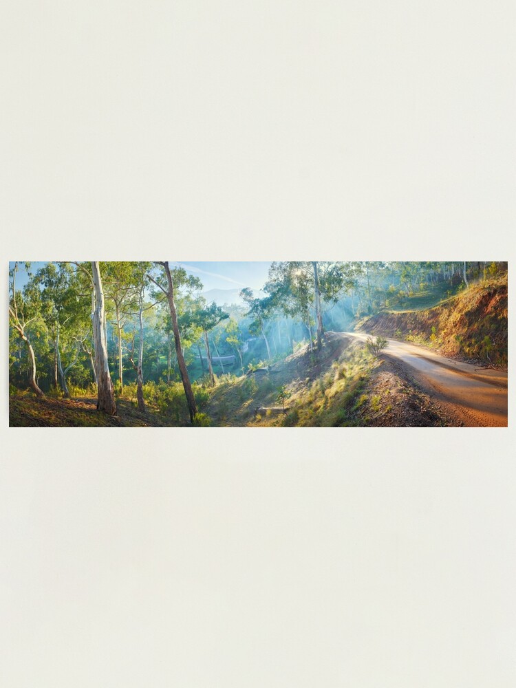 Alternate view of Morning Light, Howqua Hills, Mansfield, Victoria, Australia Photographic Print