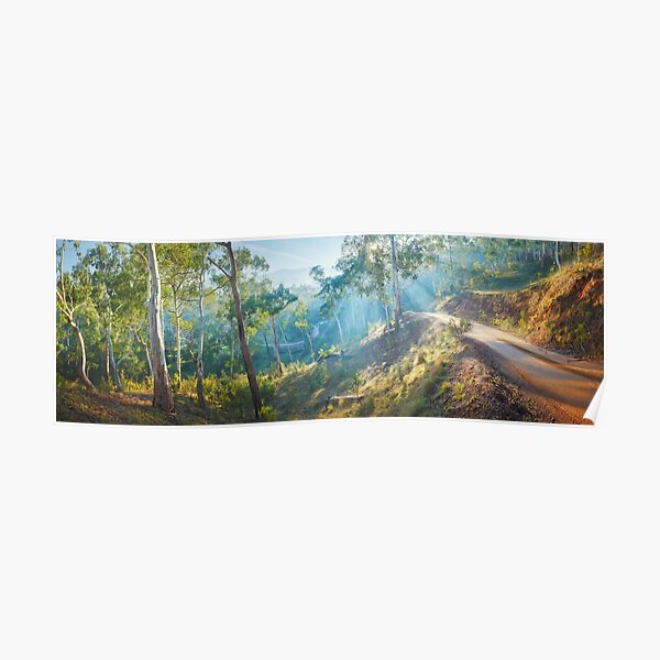 Morning Light, Howqua Hills, Mansfield, Victoria, Australia Poster