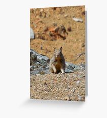 hello Greeting Card