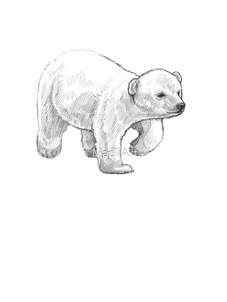 Polar Bear Cub - Art Illustration - Monochromatic Pencil Line Sketch -  Drawing by MadliArt
