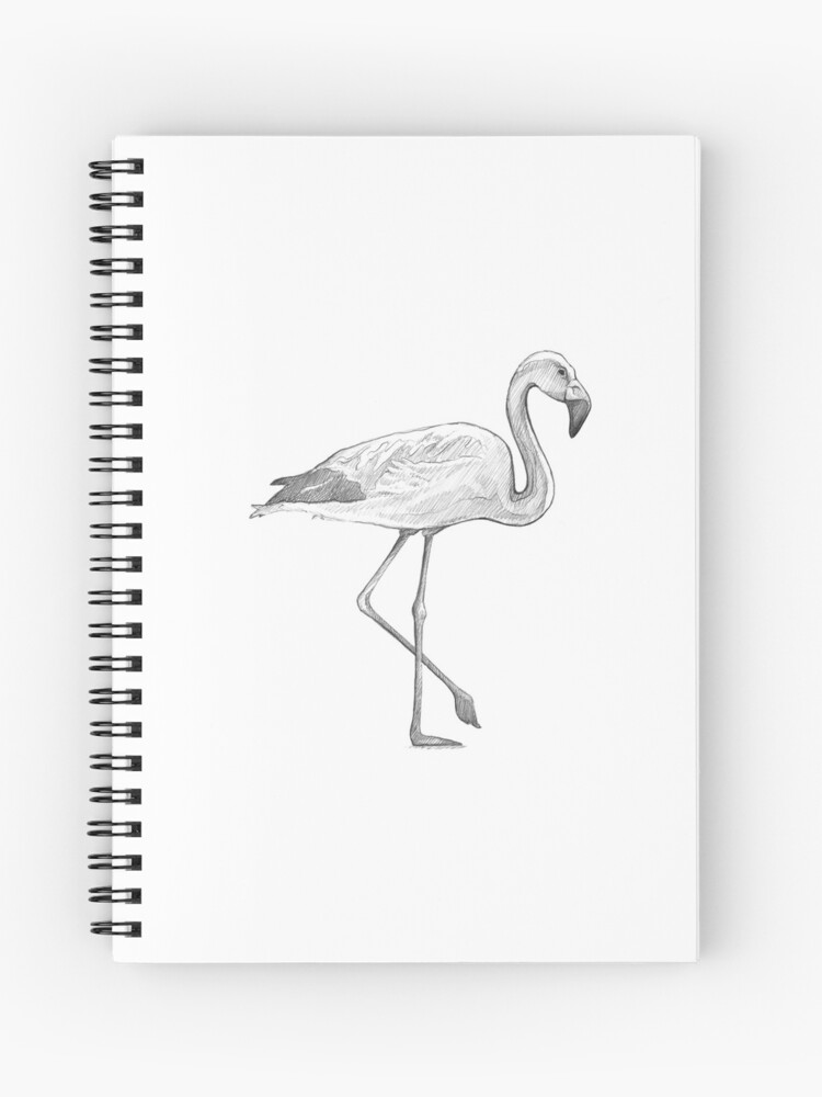 HOW TO DRAW A FLAMINGO BIRD Step by Step Pencil Drawing Tutorial. Guided  realistic bird sketch - YouTube