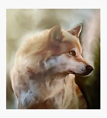 The Wolf Photographic Print