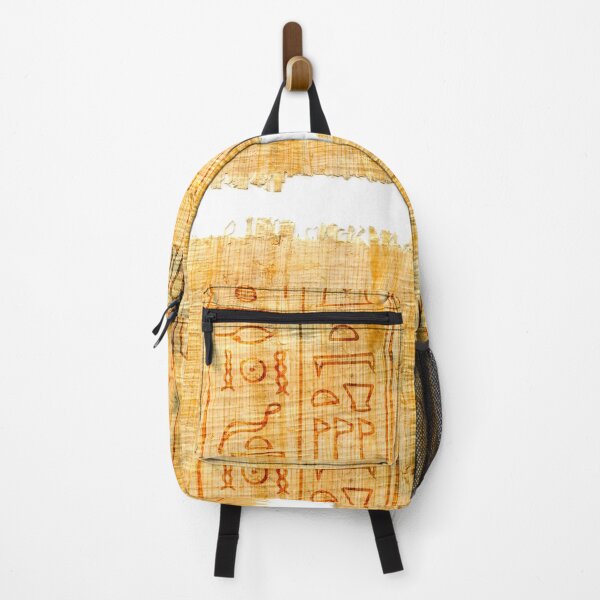 Item preview, Egyptian papyrus with hieroglyphs, manuscript from The Karnak temple, Luxor, Egypt. designed and sold by MysticaLink.