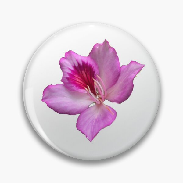 Item preview, Flowers designed and sold by Monstera Design Shop.