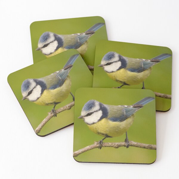 Item preview, Blue Tit  designed and sold by ollygriffin.