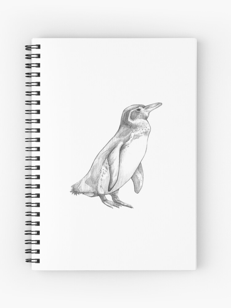 ORIGINAL Penguins Pencil Drawing Penguin Seabird Wall Art - Etsy