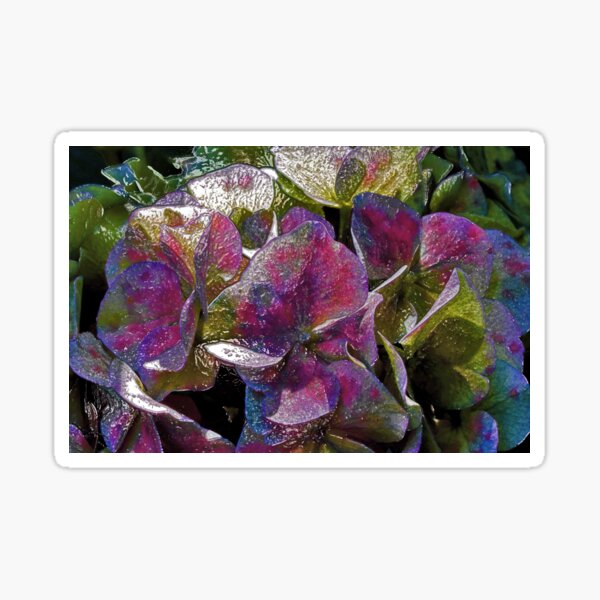 Vista previa del artículo con la obra «Colorful Hydrangea Ornament», diseñado y vendido por mavicfe.