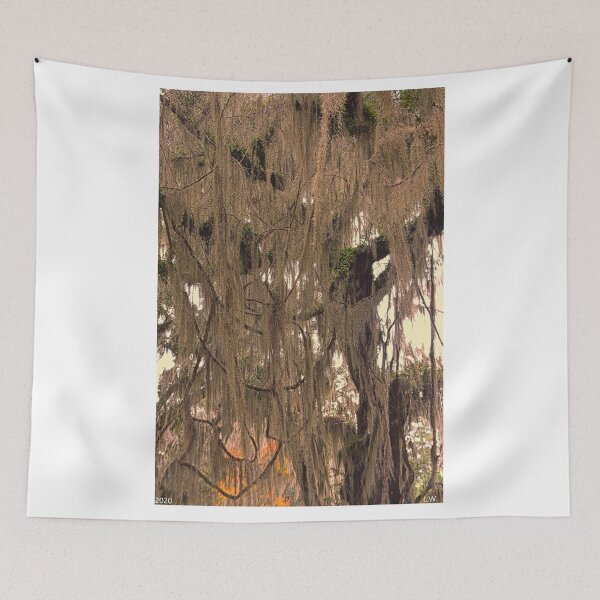 Item preview, Spanish Moss Vertical 3 designed and sold by LisaWootenPhoto.