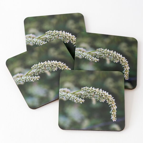 Item preview, Seedhead of Persicaria maculosa designed and sold by Mahirov Shop.