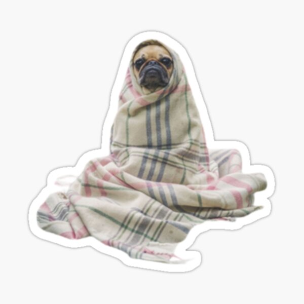 Vista previa del artículo con la obra «Pug de distanciamiento social», diseñado y vendido por luckyturtles.