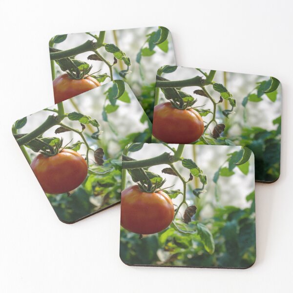 Item preview, Red ripe tomato on the vine designed and sold by Mahirov Shop.