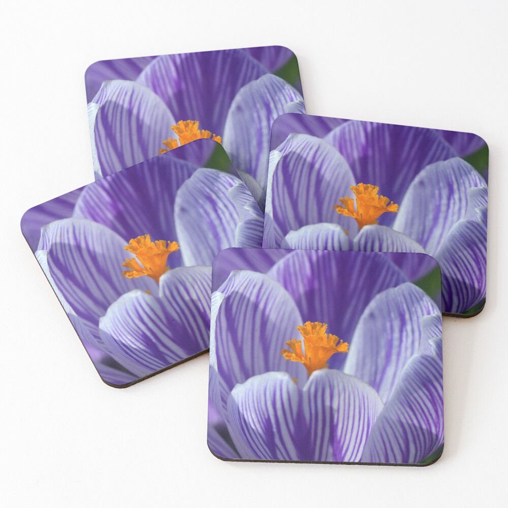 Item preview, Coasters (Set of 4) designed and sold by doodle3Dandy.