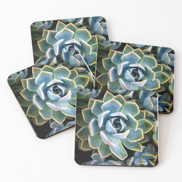 Item preview, Succulent Lover designed and sold by doodle3Dandy.