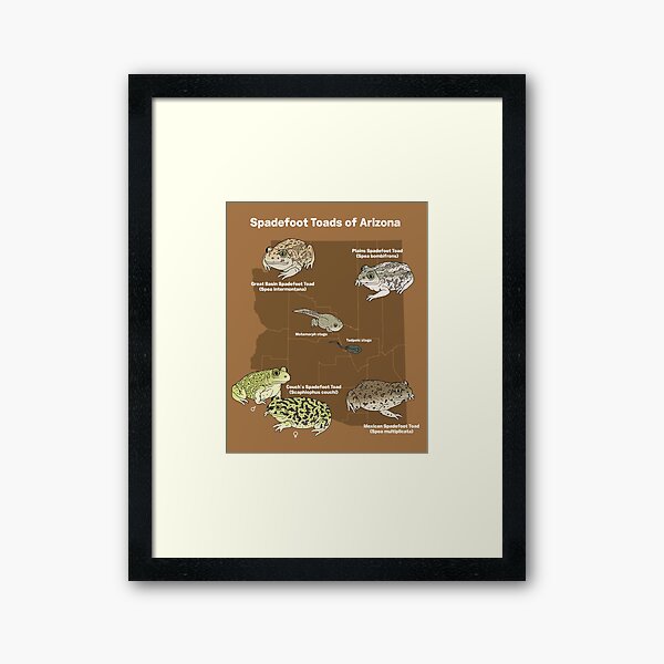 Item preview, Spadefoot Toads of Arizona designed and sold by Fran  Creates Art.