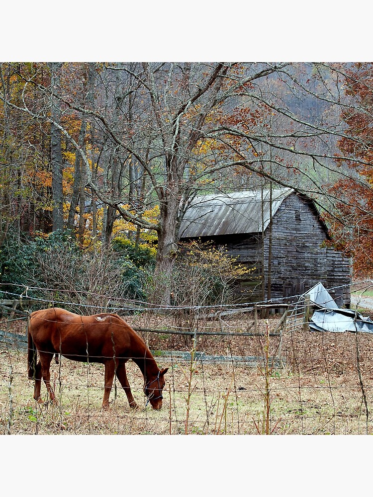 "vintage Barn art, Rustic art,barn board art,barn board print,rustic wall art,Rustic art,rustic
