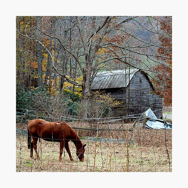 "vintage Barn art, Rustic art,barn board art,barn board print,rustic