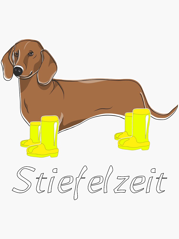 Gummistiefel Mit Dackelmotiv Stiefelzeit Design Mit Dackel Und