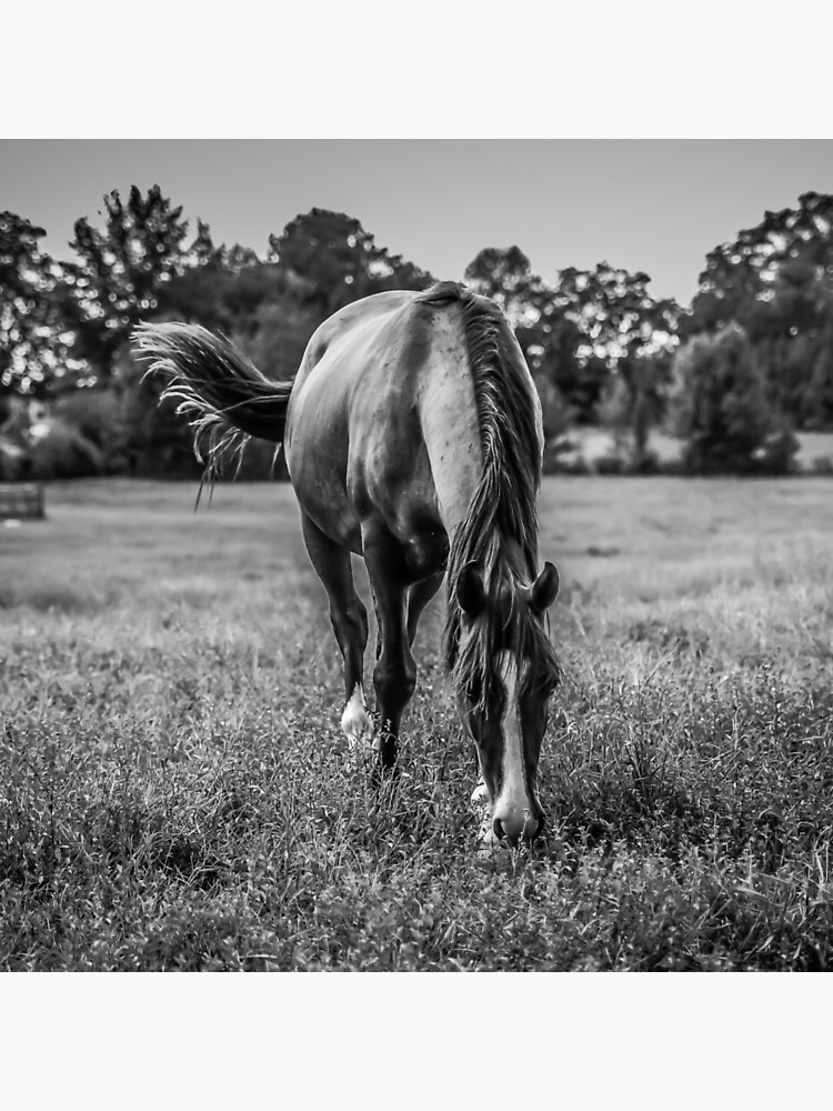 "vintage Barn art, Rustic art,barn board art,barn board print,rustic
