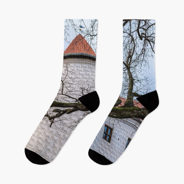 Item preview, Naked tree branch before the tower of Bauska Castle designed and sold by lena-maximova.