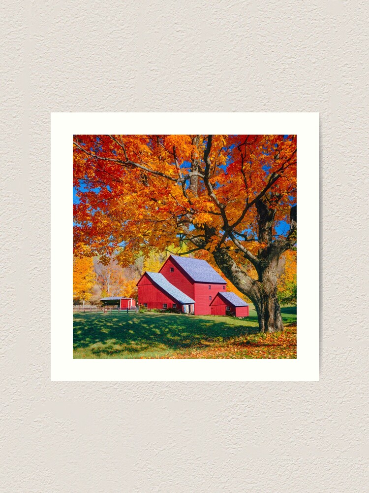 " Vintage Barn art, Rustic art,barn board art,barn board print,rustic