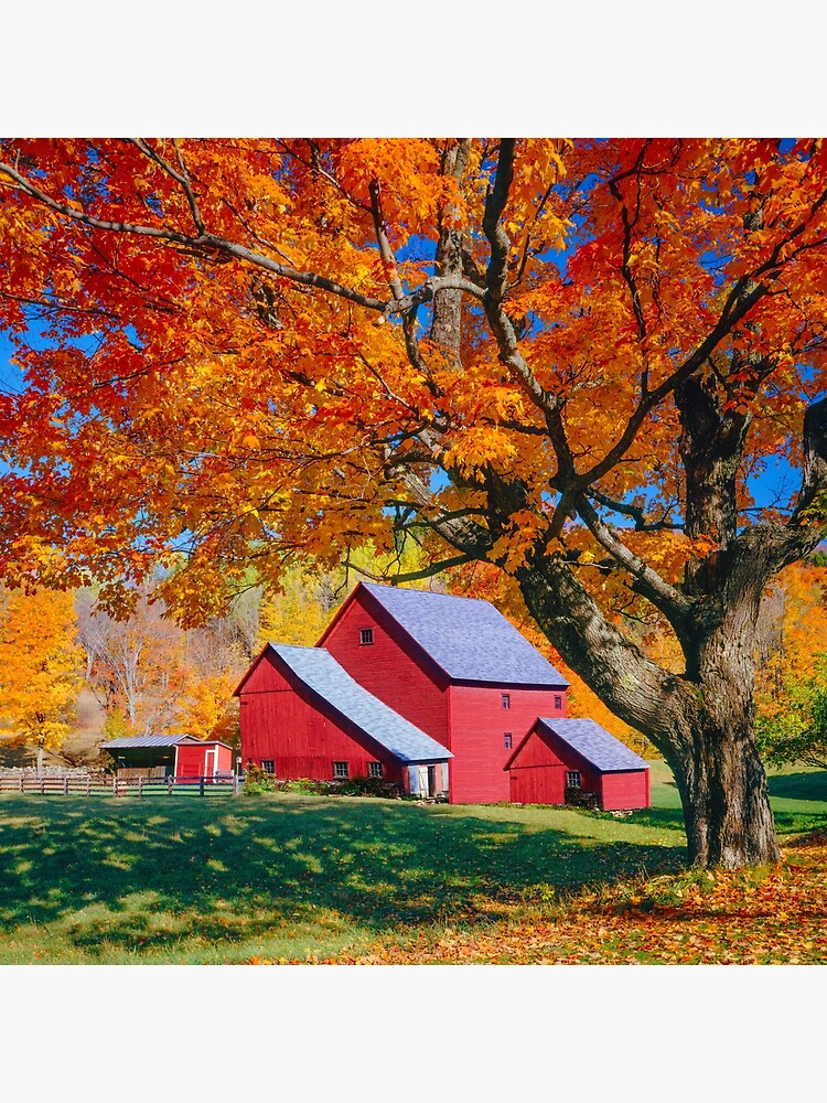 " Vintage Barn art, Rustic art,barn board art,barn board print,rustic wall art,Rustic art,rustic