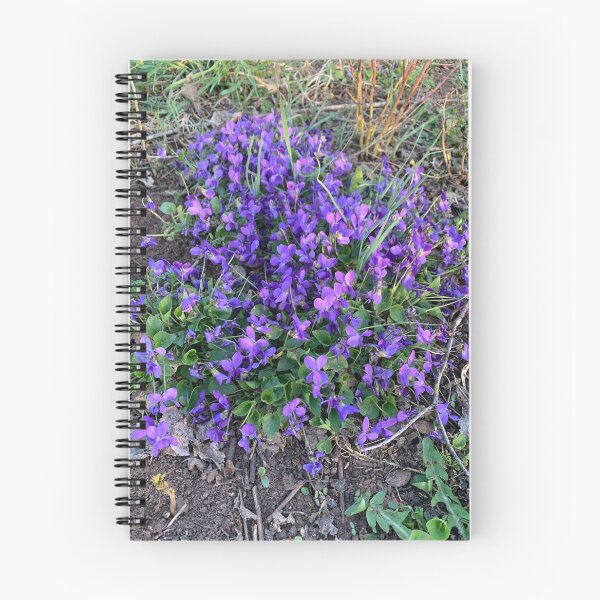 Item preview, Beautiful violets. designed and sold by UnsereWelt.
