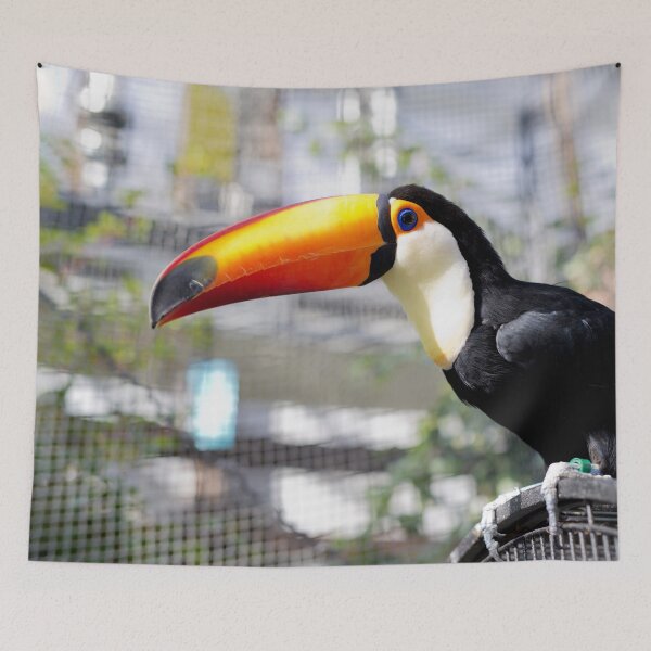 Item preview, Toucan designed and sold by Oliveirallan.