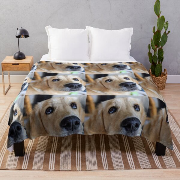 Artikelvorschau, Golden Retriever Welpe Bella entworfen und verkauft von Fluffycat2020.