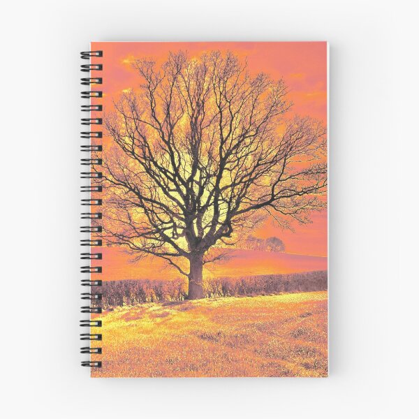 Aperçu de l'œuvre Arbre orange créée et vendue par Sherenity.