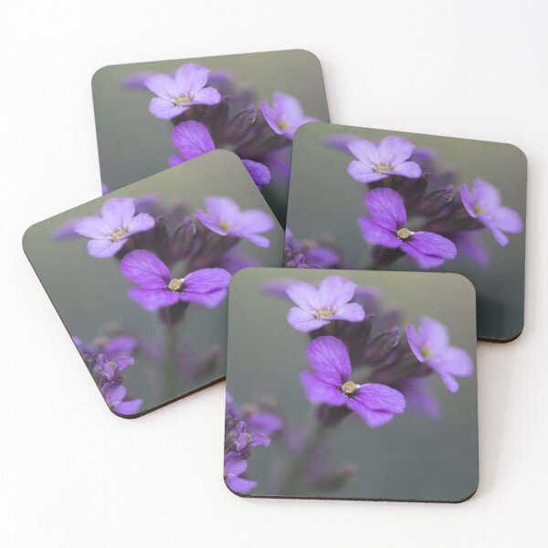Item preview, Wallflower designed and sold by PilarSG.