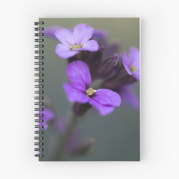 Item preview, Wallflower designed and sold by PilarSG.