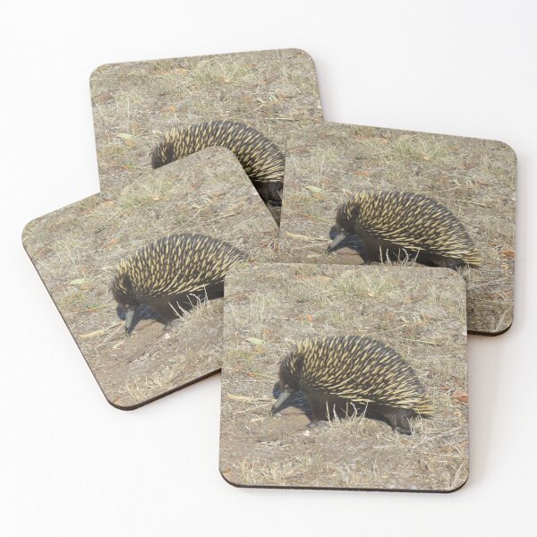 Item preview, Cute Echidna designed and sold by KaSaPo.