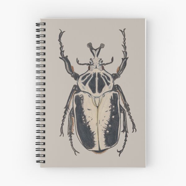Item preview, Goliath Beetle (Goliathus regius) designed and sold by beetlelady.