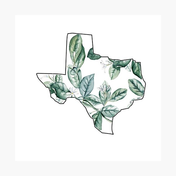 Item preview, Texas watercolor leaves designed and sold by eammmmmm.
