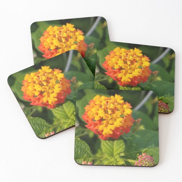 Item preview, Lantana  designed and sold by MaryAnnEnsz.
