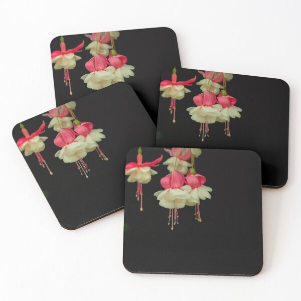 Item preview, White pink bloom blossom flora flower sticker designed and sold by JD369.