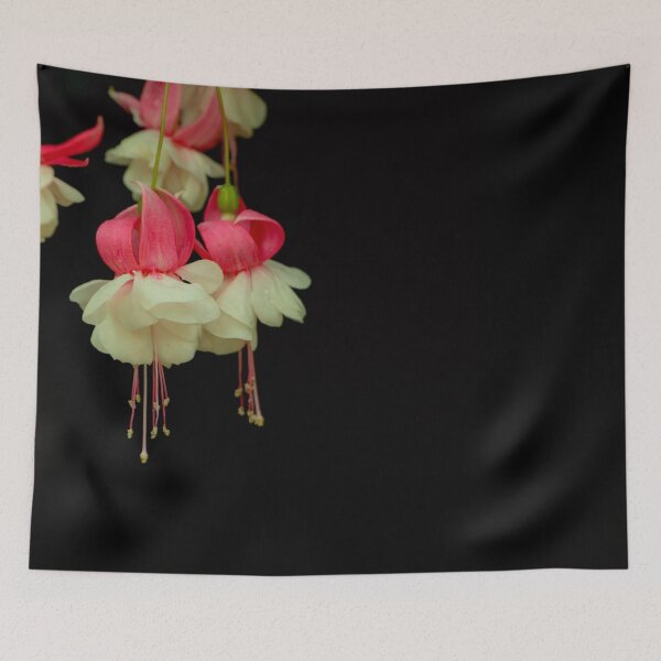 Item preview, White pink bloom blossom flora flower sticker designed and sold by JD369.