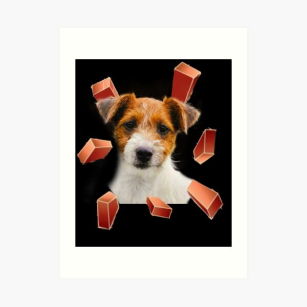 Impressions Artistiques Sur Le Theme Jack Russel Terrier Redbubble