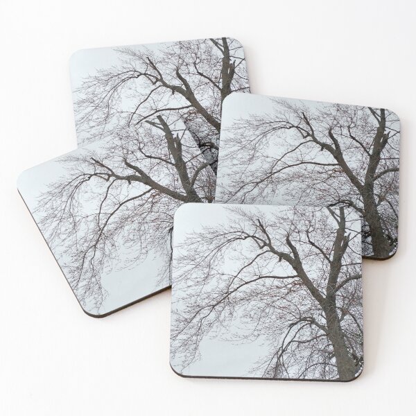 Item preview, silver maple  in spring designed and sold by sirenas.