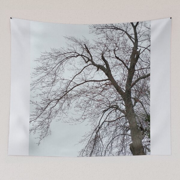 Item preview, silver maple  in spring designed and sold by sirenas.