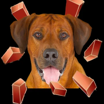 Artwork thumbnail, Rhodesian Ridgeback Tshirt Rhodesian Ridgeback Dog Shirt Tee by KDesigns85