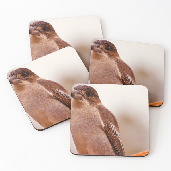 Item preview, Butcher bird designed and sold by GeoffreySporne.