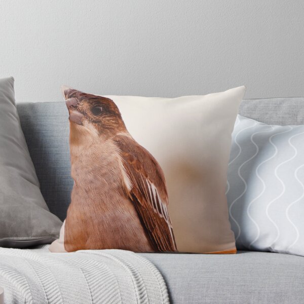 Item preview, Butcher bird designed and sold by GeoffreySporne.
