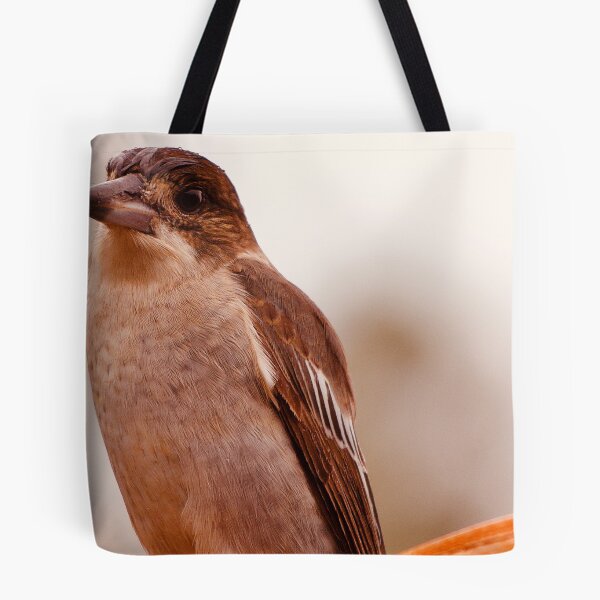 Item preview, Butcher bird designed and sold by GeoffreySporne.