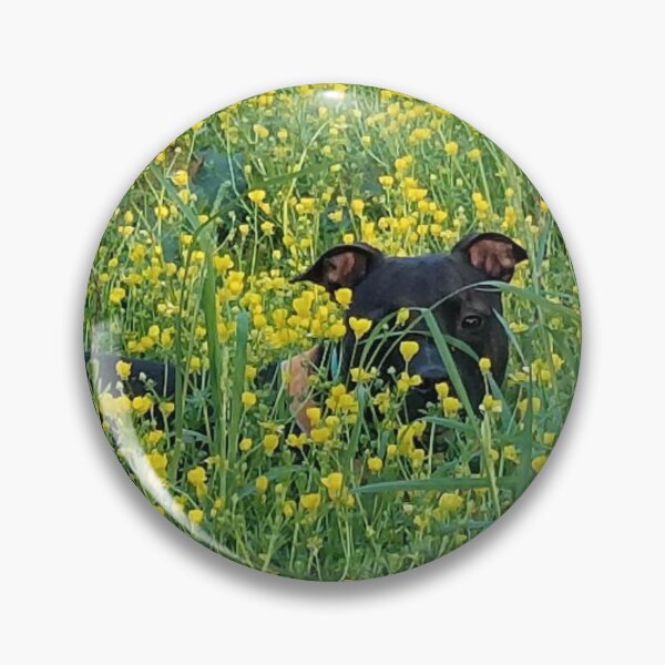 Item preview, Charlie in the weeds designed and sold by MaryAnnEnsz.
