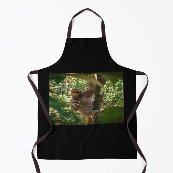 Item preview, Sloth Costa Rica designed and sold by JBaystro.