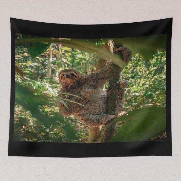 Item preview, Sloth Costa Rica designed and sold by JBaystro.