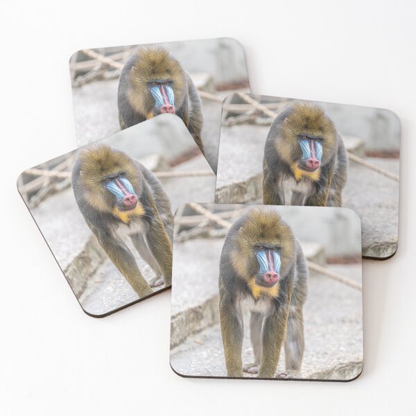Item preview, Mandrill in Amsterdam Zoo designed and sold by Kristvin Gudmundsson.
