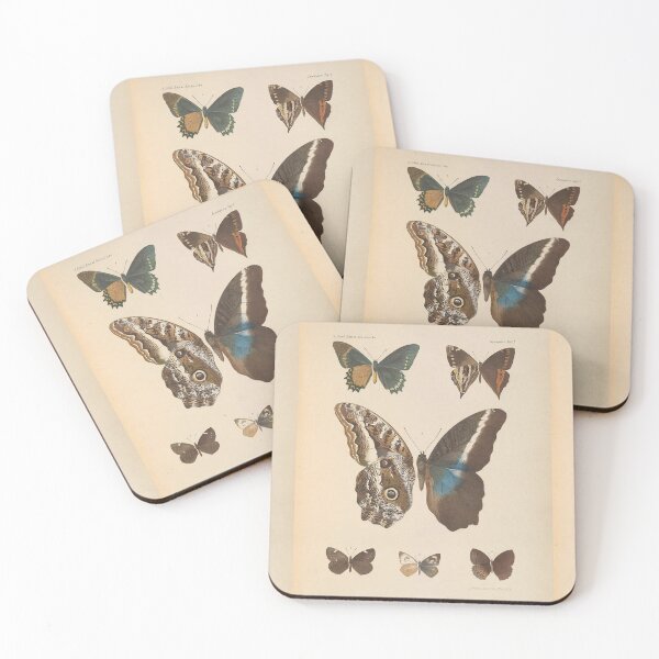 Item preview, Butterfly Vintage Scientific Drawing c:1890  designed and sold by joyousEarth.