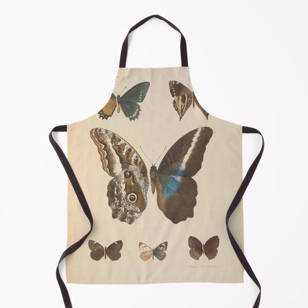 Item preview, Butterfly Vintage Scientific Drawing c:1890 designed and sold by joyousEarth.